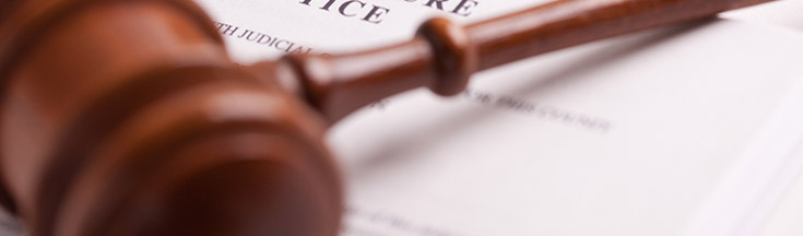 bylaw_image